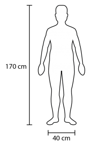 Width and Height of a fairly average adult.