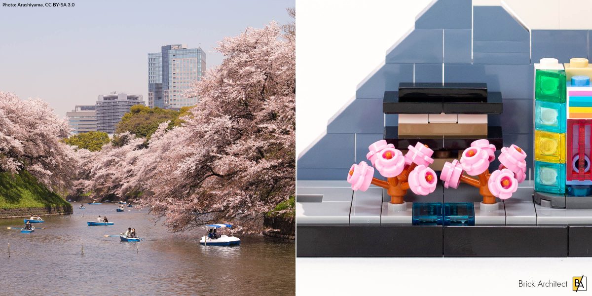 Cherry Blossoms at Chidorigafuchi Park. (Photo: Arashiyama, CC BY-SA 3.0)