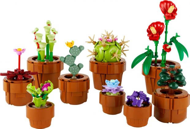 Smooth pots and spiky cacti in #10329 Tiny Plants.