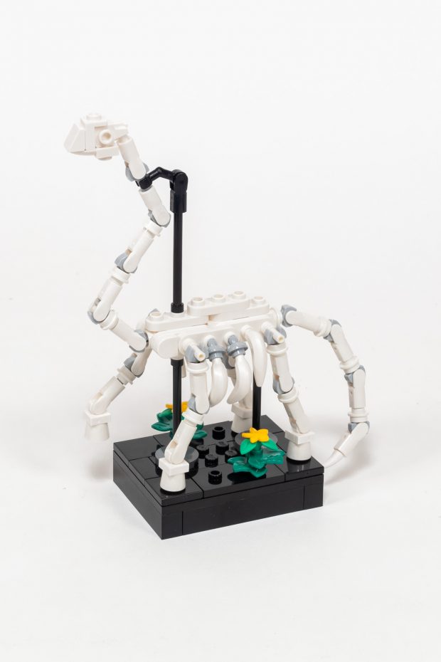 The Dinosaur skeleton is a standalone build, but fits perfectly on the first floor of the museum.