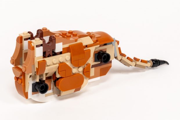 Adding patterning and a tail.