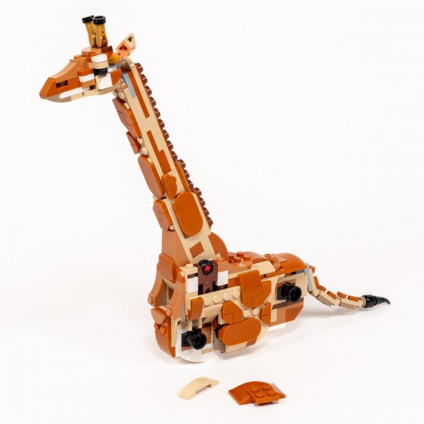 Attaching the long neck.