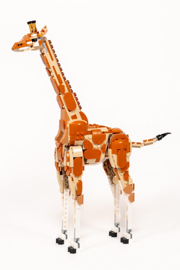 The giraffe stands easily on my first try.