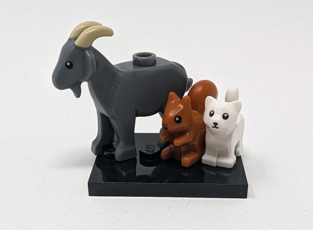 A goat, a squirrel and a kitten... sounds like the start of a joke.