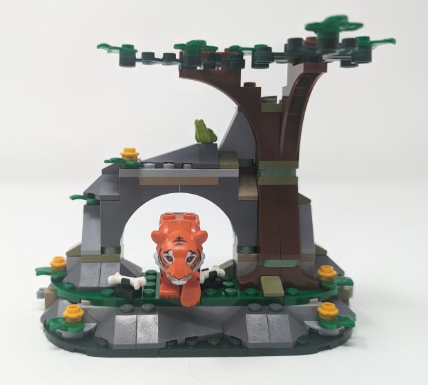 Another frog makes an appearance in this habitat.