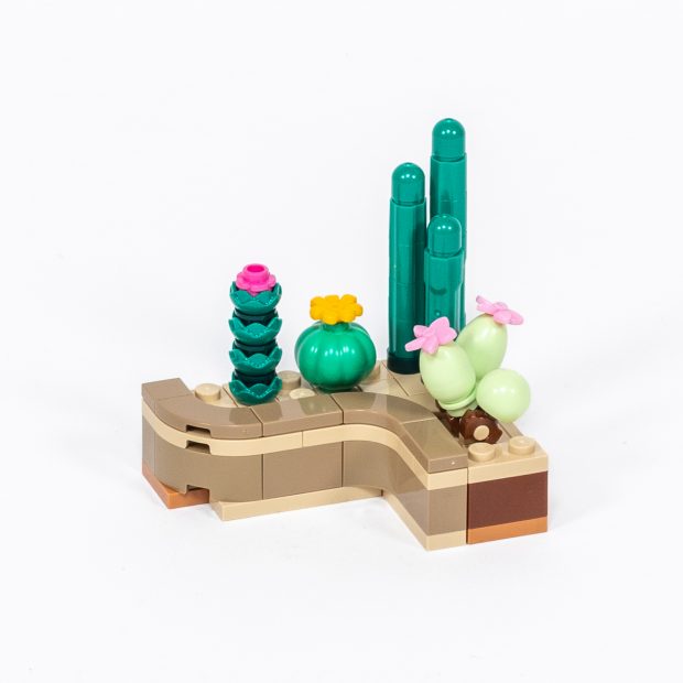 I love the cactus collection!
