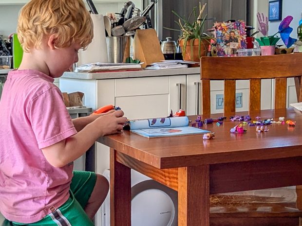 Starting to build the Red Panda.