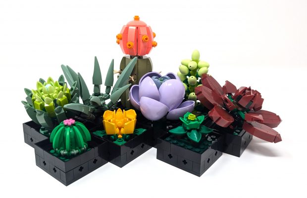 If you struggle to keep real plants alive, these succulents can be a great replacement.