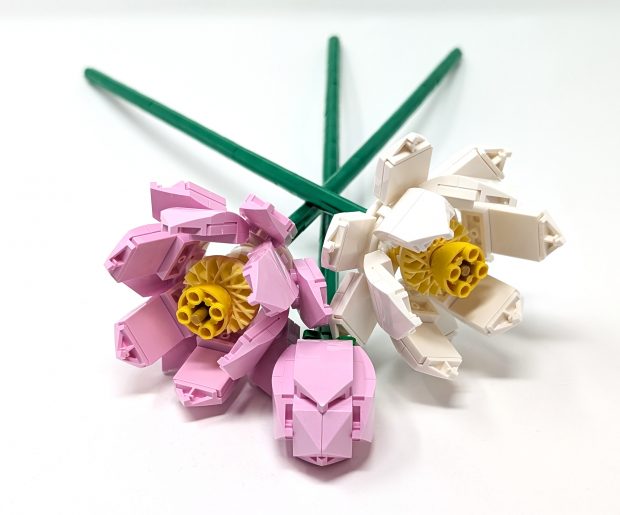 While some flowers are intricate and complex, others go down a simpler route.