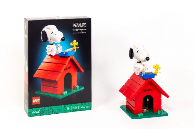 The finished model shown next to the box for scale.