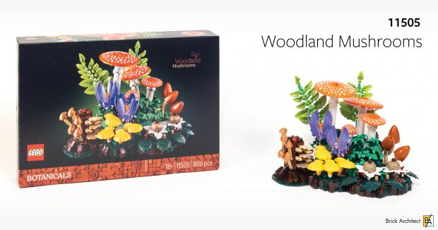 Read our review of #11505 Woodland Mushrooms (LEGO Botanicals).