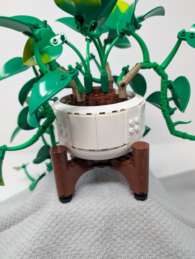 The curvature of the pot is simple yet elegant.